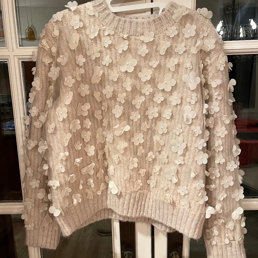 Zara cream embellished sweater